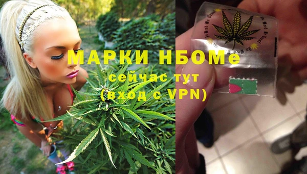 шишки Шарыпово