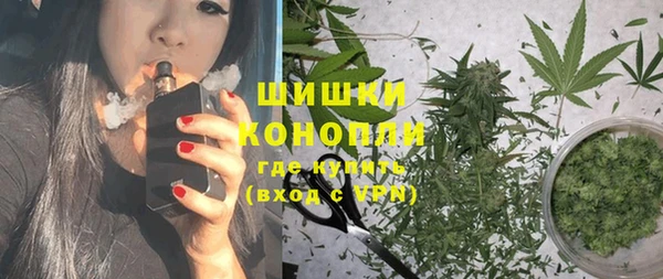 шишки Шарыпово