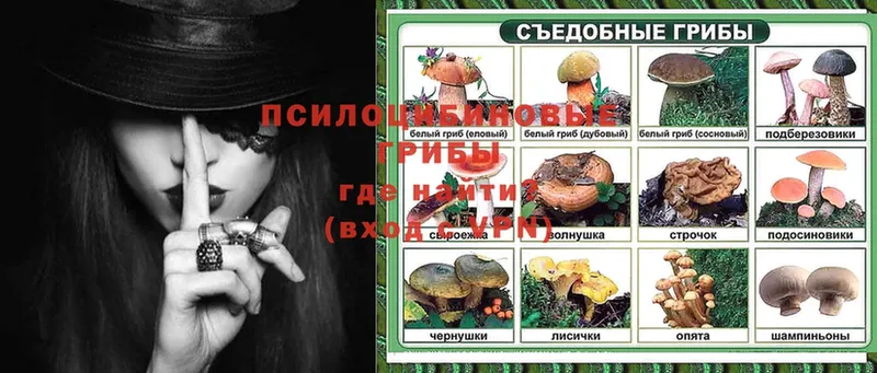 цена наркотик  Зуевка  мега ссылка  Галлюциногенные грибы прущие грибы 