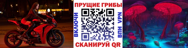 Псилоцибиновые грибы GOLDEN TEACHER  hydra онион  Зуевка  купить наркотик 